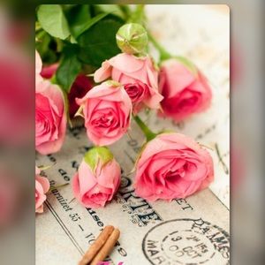 Meet your Posher, Mary